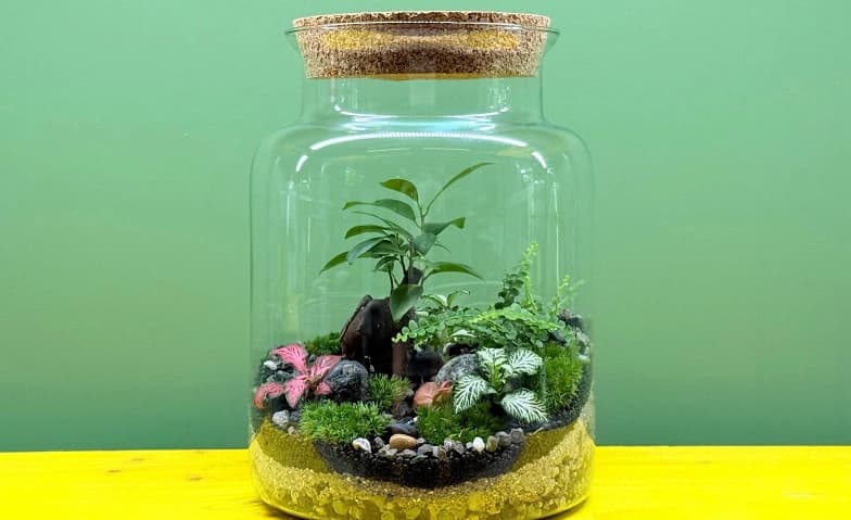 NATURENA: Mikro-Garten im Glas — photo 1