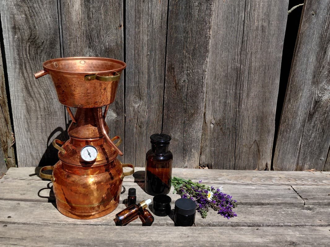 forum refurmo - Workshop series 2026 / Winter pharmacy — photo 1