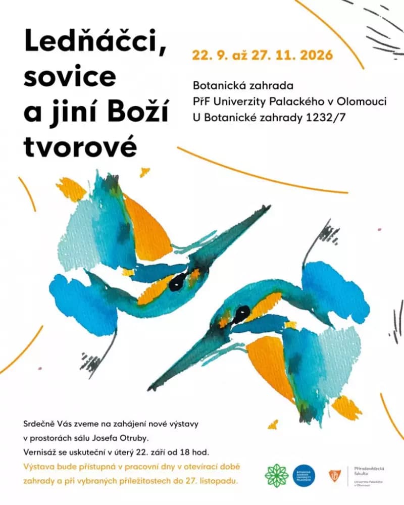 Ledňáčci, sovice a jiní Boží tvorové — photo 1
