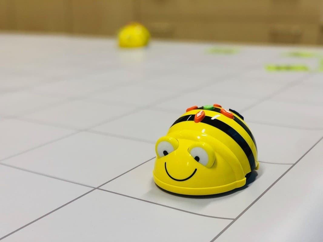 Bee-Bots: Learn the Robot Language! — photo 1