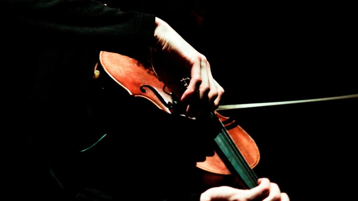 Landstreichmusik — photo 1