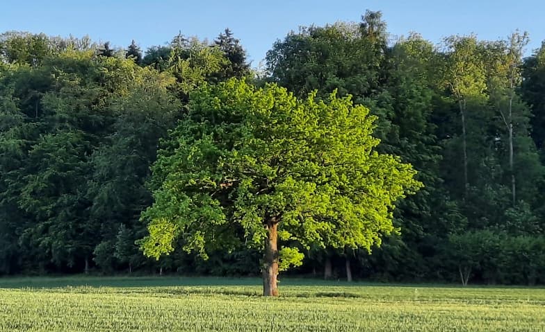 Selbstfürsorge zum Jahresende — photo 1