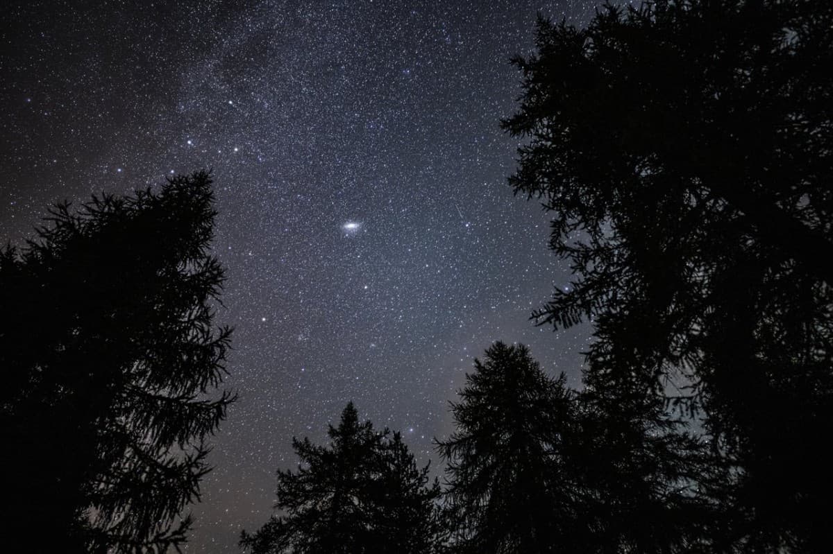 Night Hike for Families with Children from 4 Years Old — photo 1