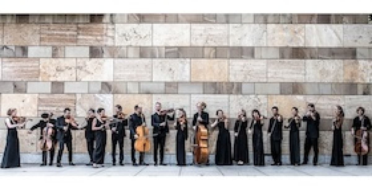 Stuttgarter Kammerorchester & radio. string. quartet — photo 1