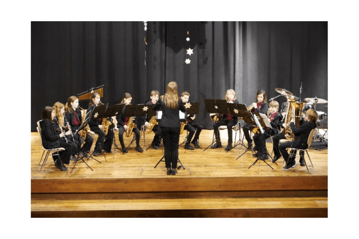 Musical History and Instrument Parade with the Junior Ensemble of Youth Music Bern-Bümpliz — photo 1