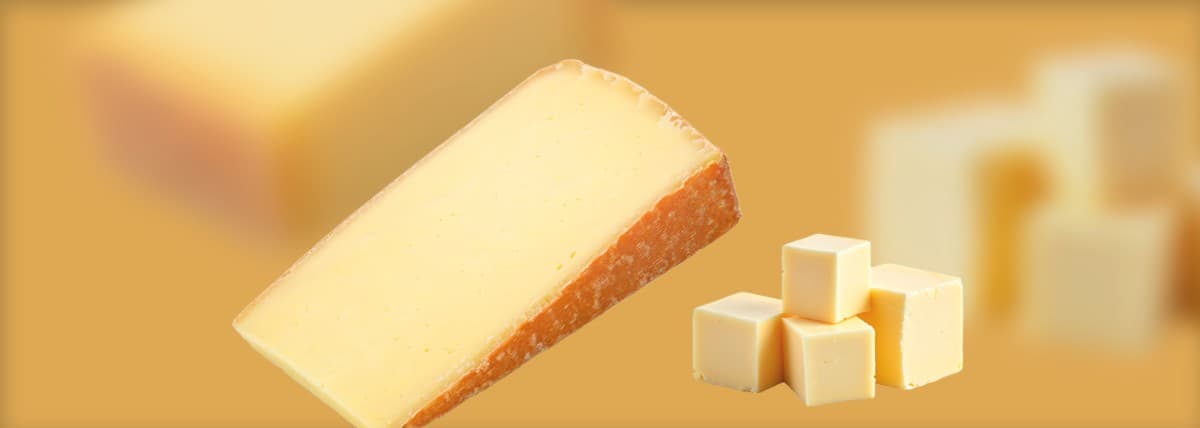 Alpine Cheese Competition — photo 1