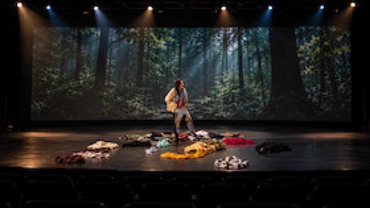 Die Wand 2.0 - A Theater Project Based on Motifs by Marlen Haushofer — photo 1
