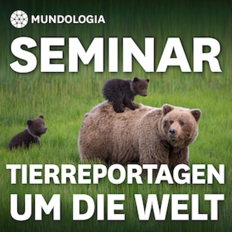 MUNDOLOGIA Seminar: Around the World Animal Reports — photo 1
