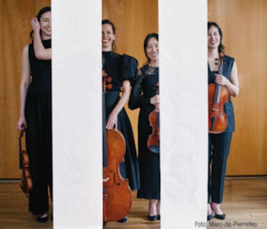 Quatuor Ardeo — photo 1