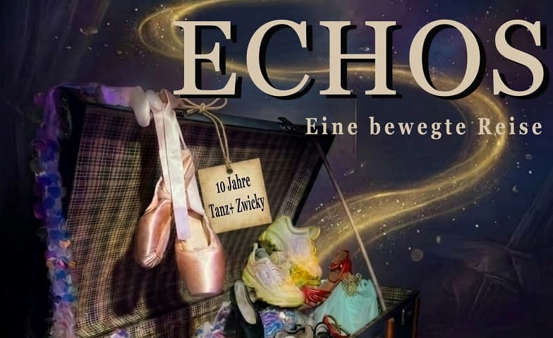 ECHOS - eine bewegte Reise - 10 Jahre TANZ+ ZWICKY — photo 1