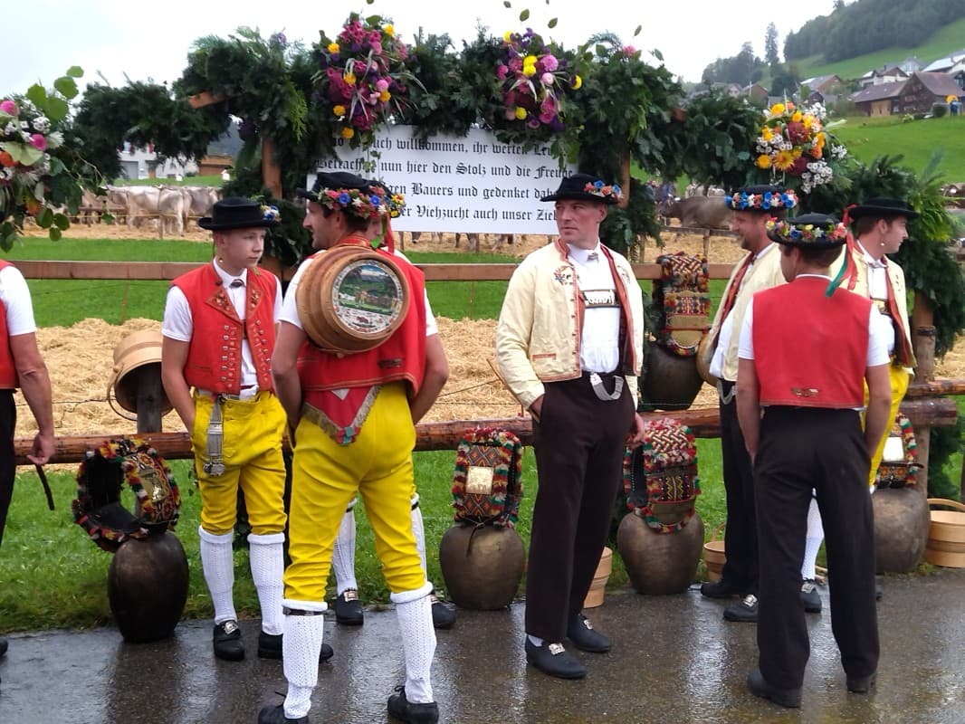 Waldstatt cattle show — photo 1