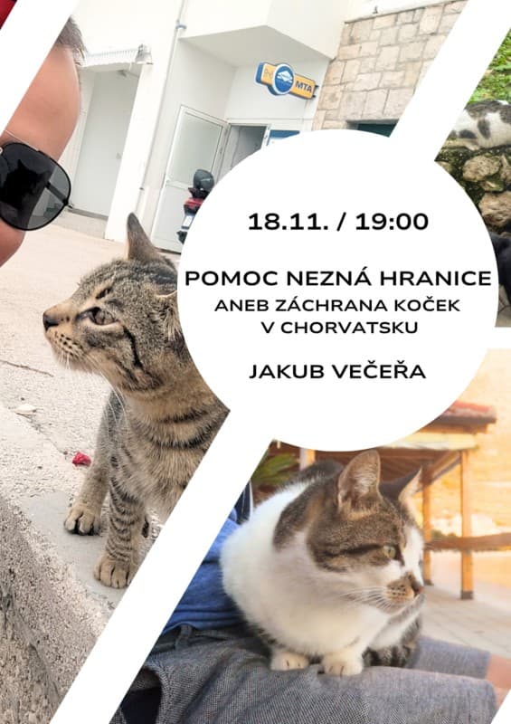 Help Knows No Borders or Saving Cats in Croatia — photo 1