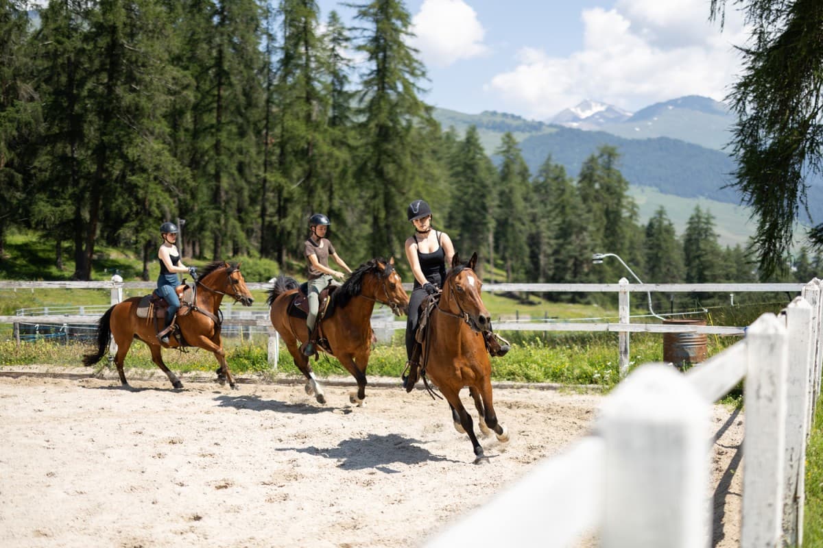 Riding lessons for advanced riders — photo 1