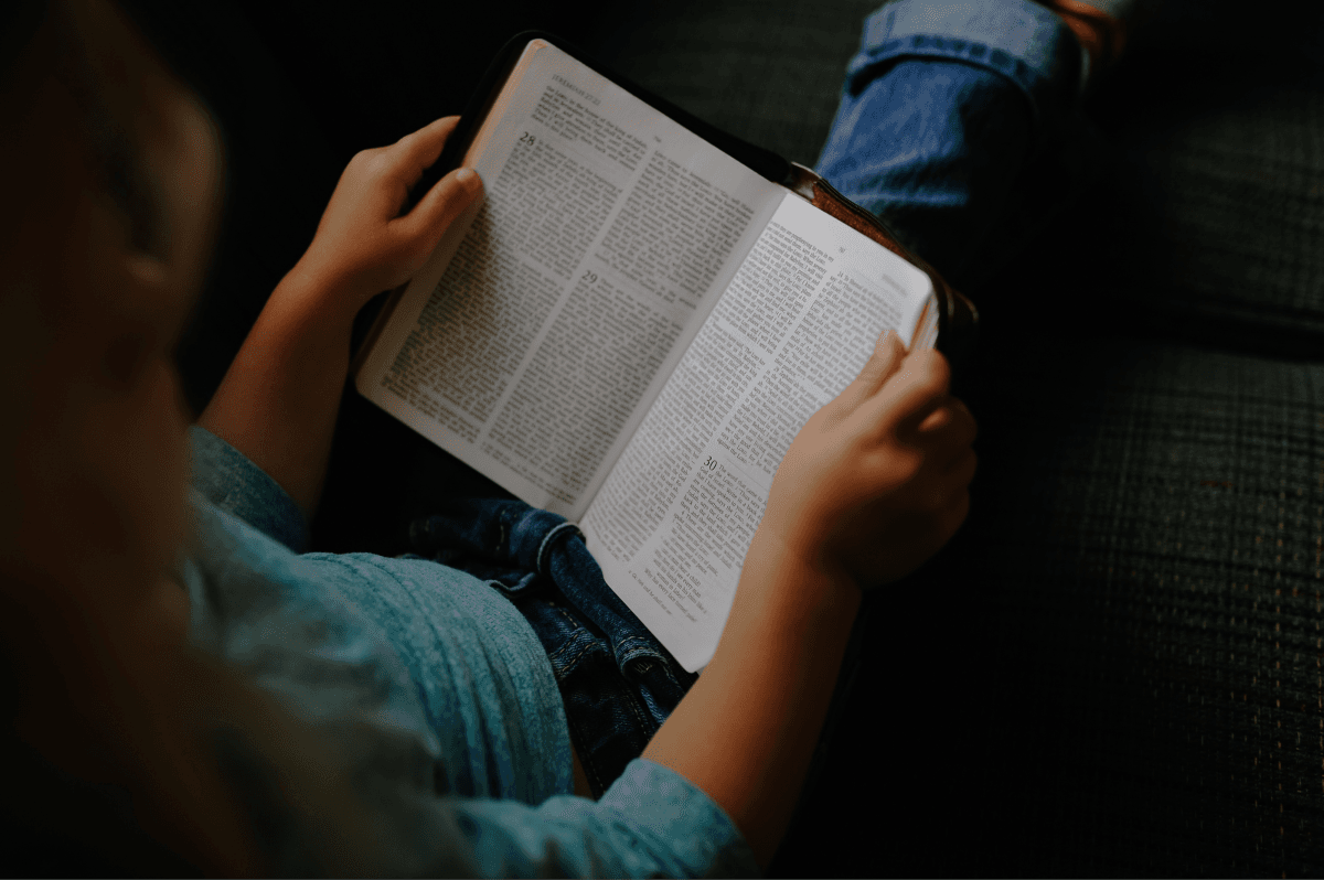 Born to Read — photo 1