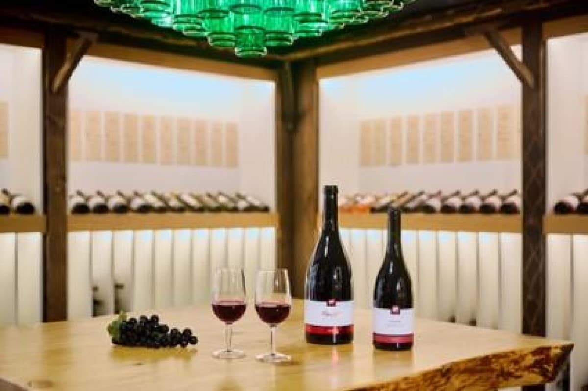 Wine Tasting — photo 1