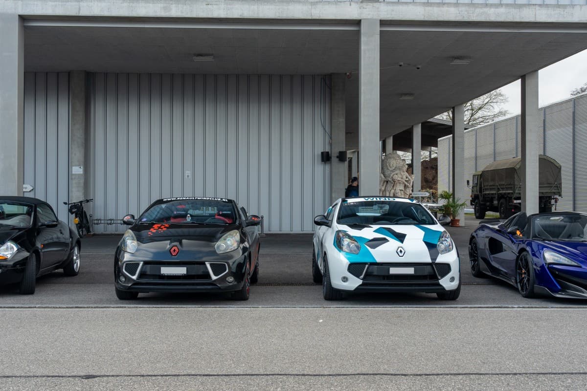 French Cars Meeting — photo 1