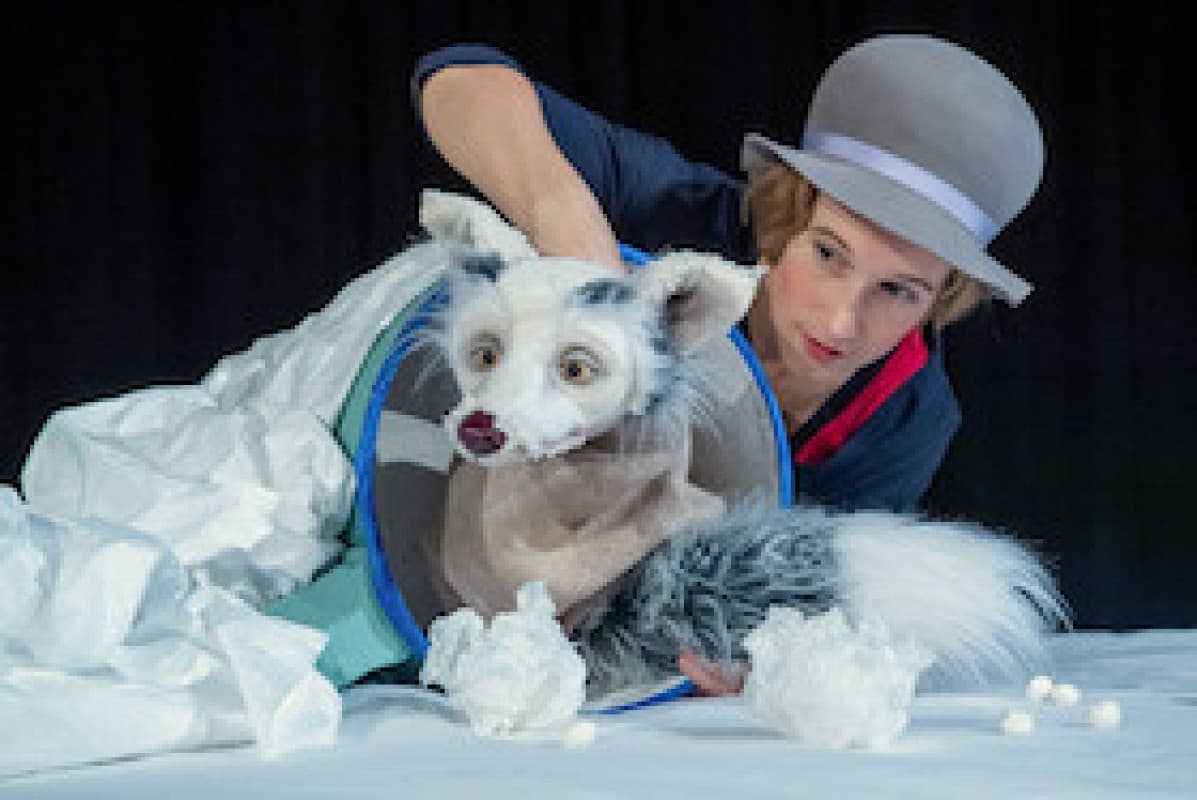 Lichtgestöber - Schneegefunkel - Visual Puppet Theater with German Sign Language and Spoken Language — photo 1