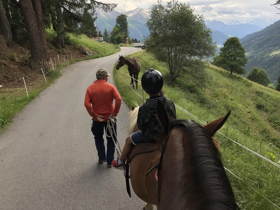 Time with horses — photo 1