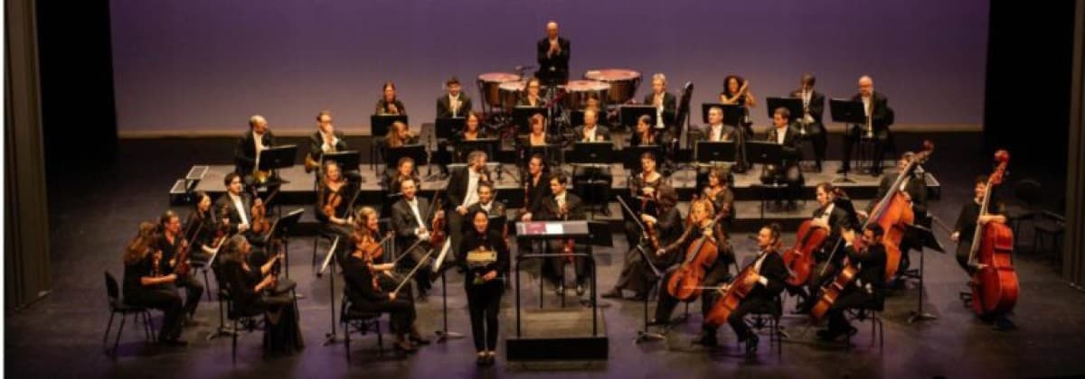 Pierre and the Wolf, discovery concert – Fribourg Chamber Orchestra — photo 1