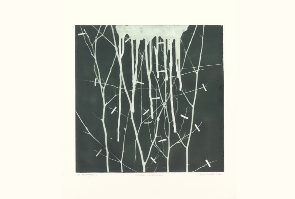 Hugo Suter. Fliessen und Spriessen. The Printmaking Work — photo 1