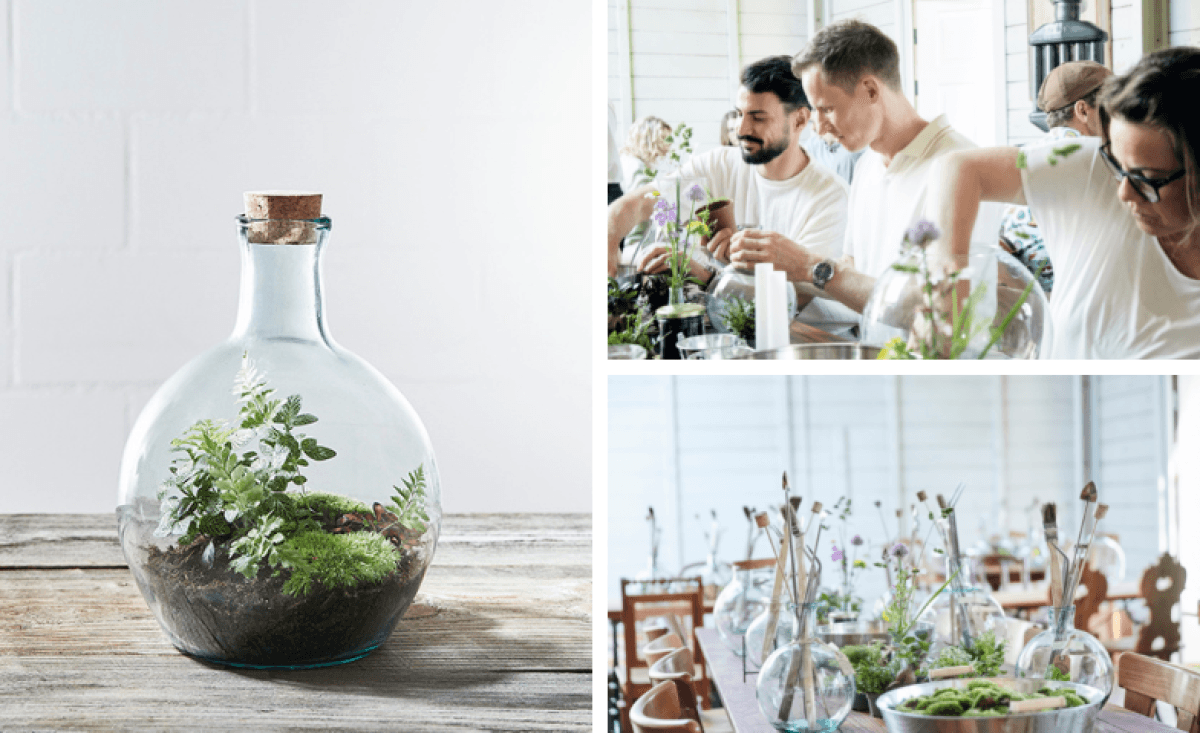Flaschengarten-Workshop — photo 1