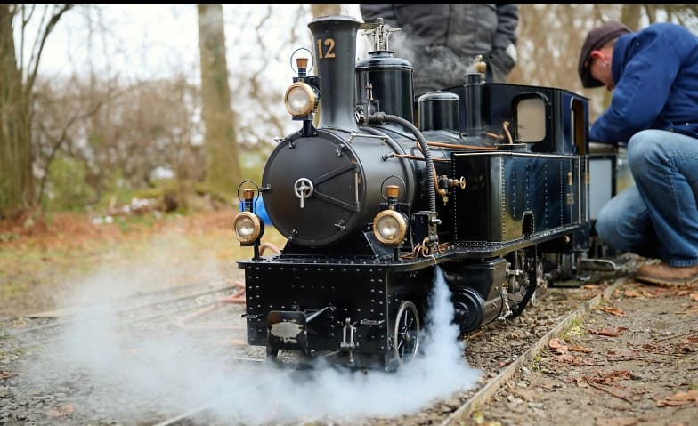 Dampfbahn Schadaupark — photo 1
