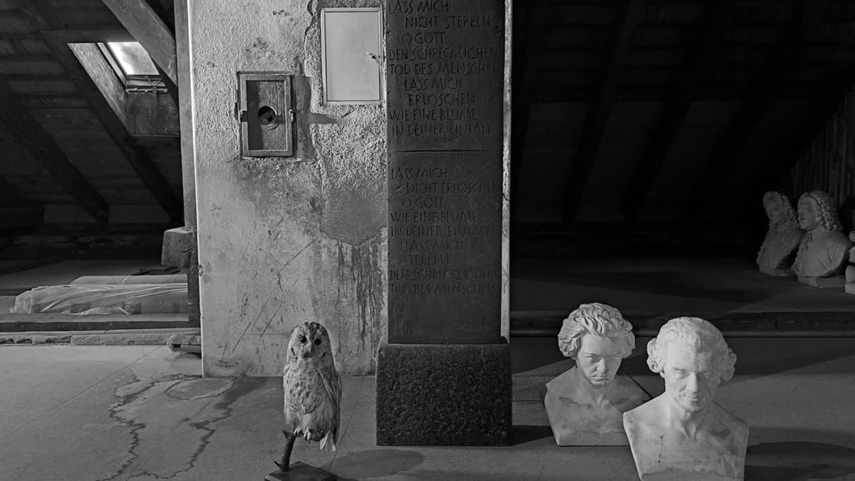 Ghosts, Magic, and the Diabolical — photo 1