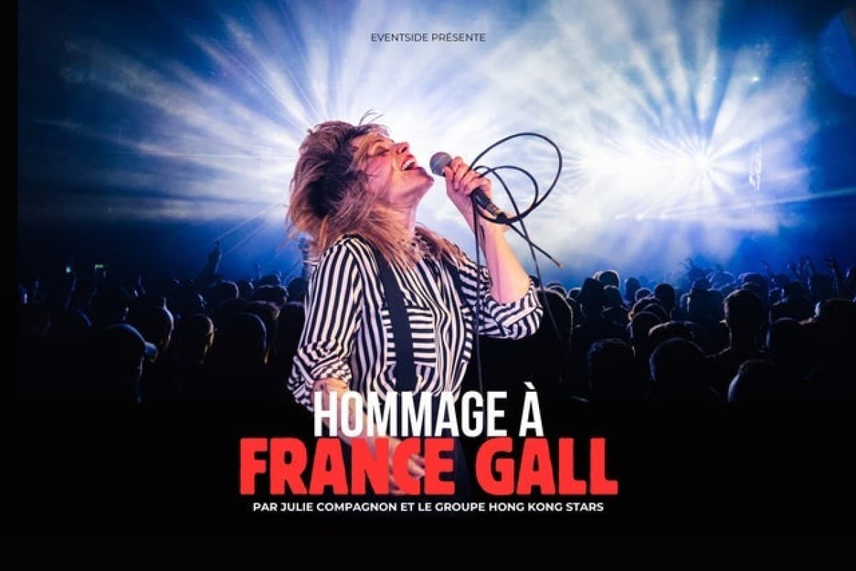 Hommage à France Gall — photo 1