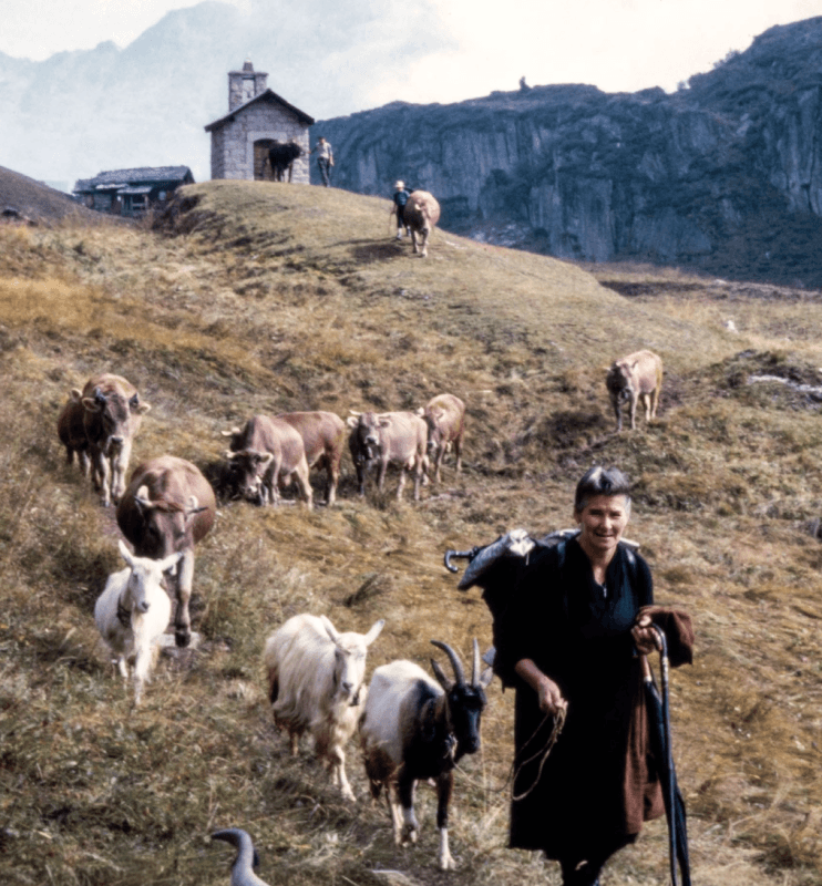 Women and the Alpine Season — photo 1
