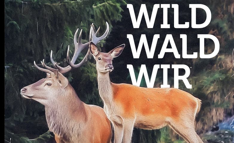 Sonderausstellung «Wild. Wald. Wir.» — photo 1