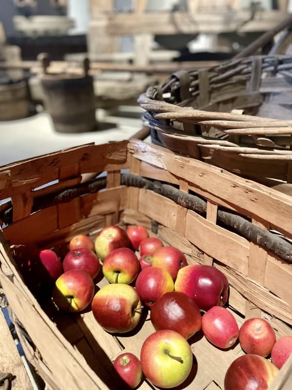 Apple and Juice. Experience to Participate & Enjoy — photo 1
