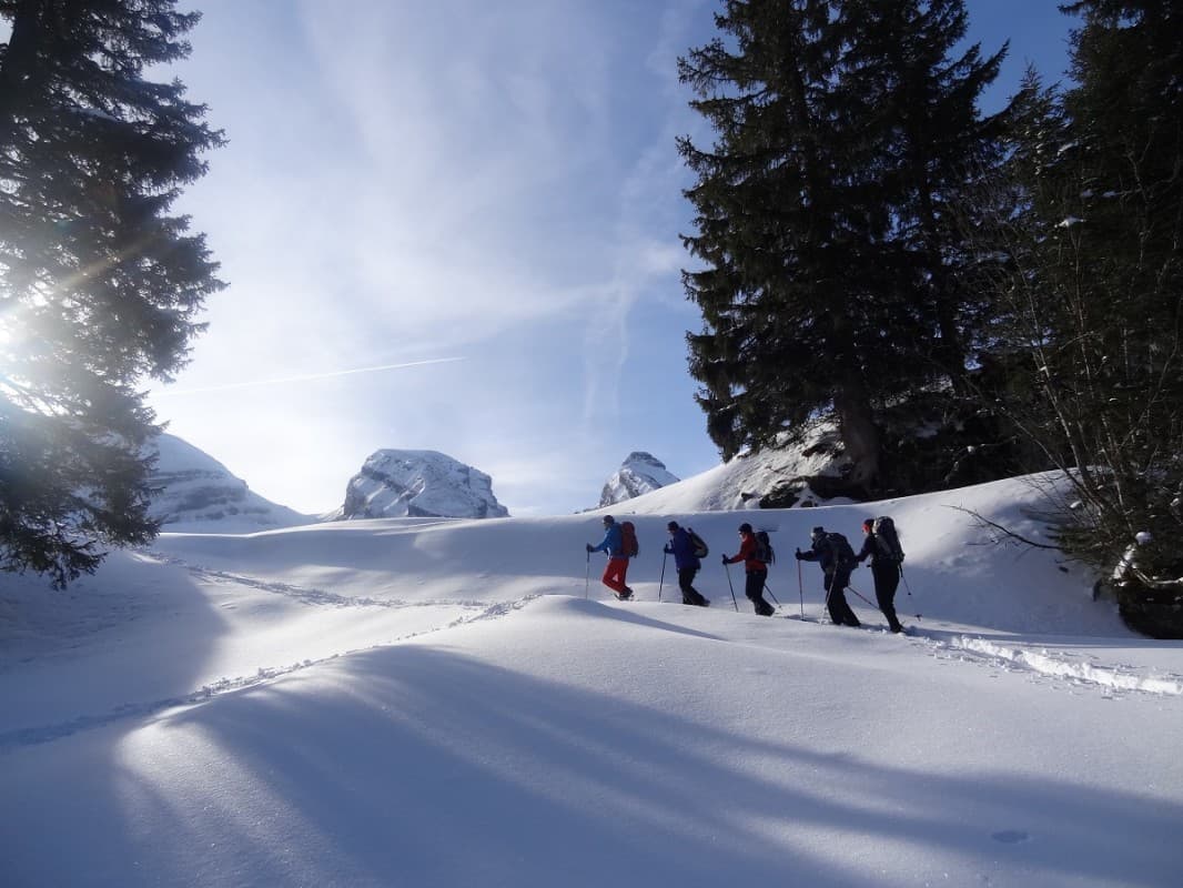 Day Snowshoe Tour Toggenburg — photo 1