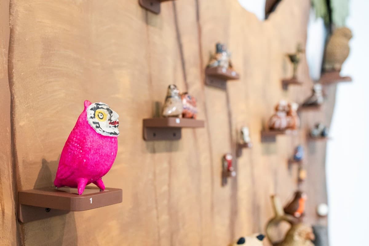 The Owl is Pink – Colorful Stories — photo 1