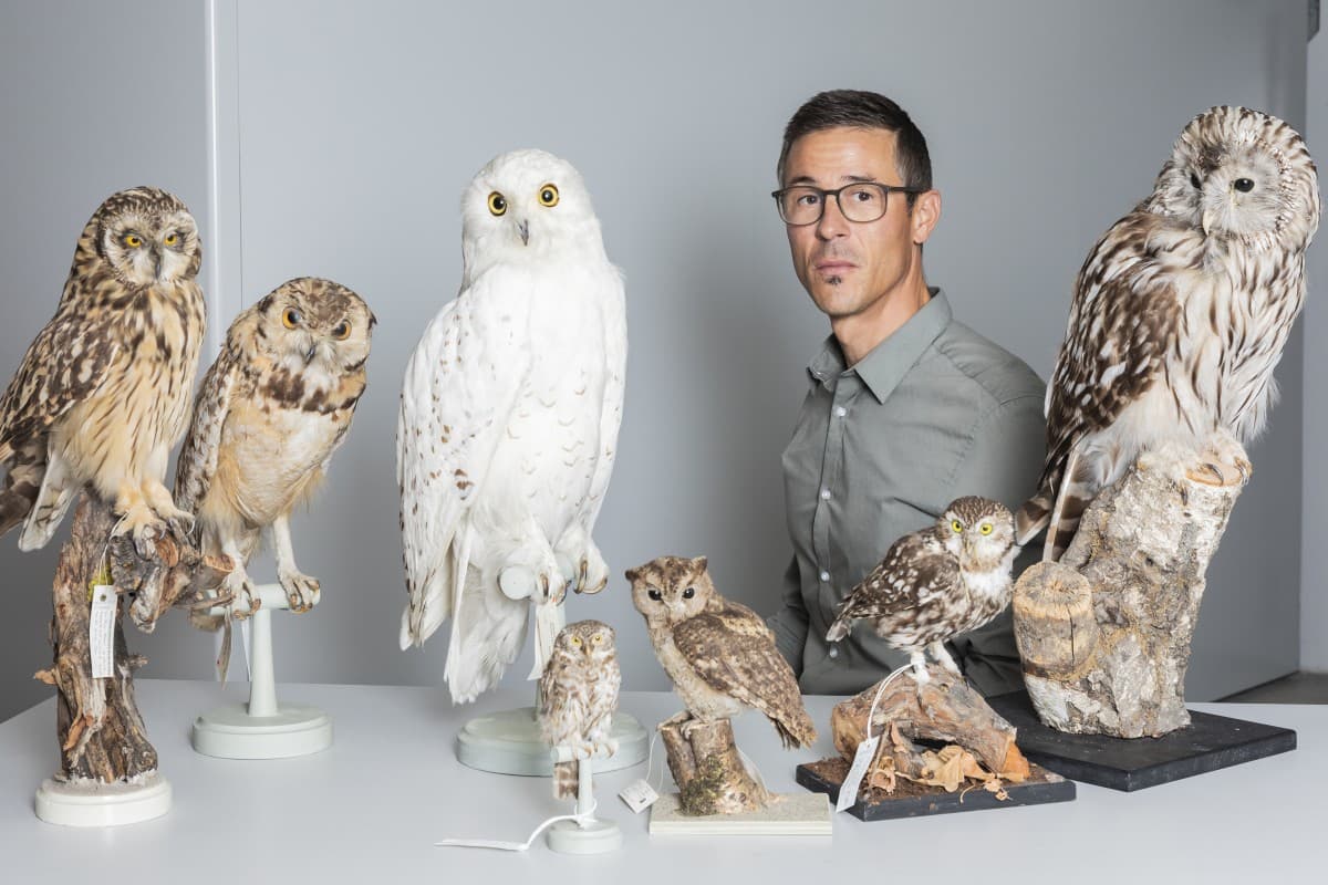 Behind the Scenes Tour: Owls – Mystical Birds of the Night — photo 1