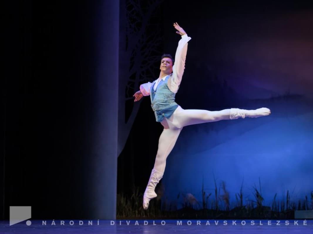 Swan Lake — photo 1