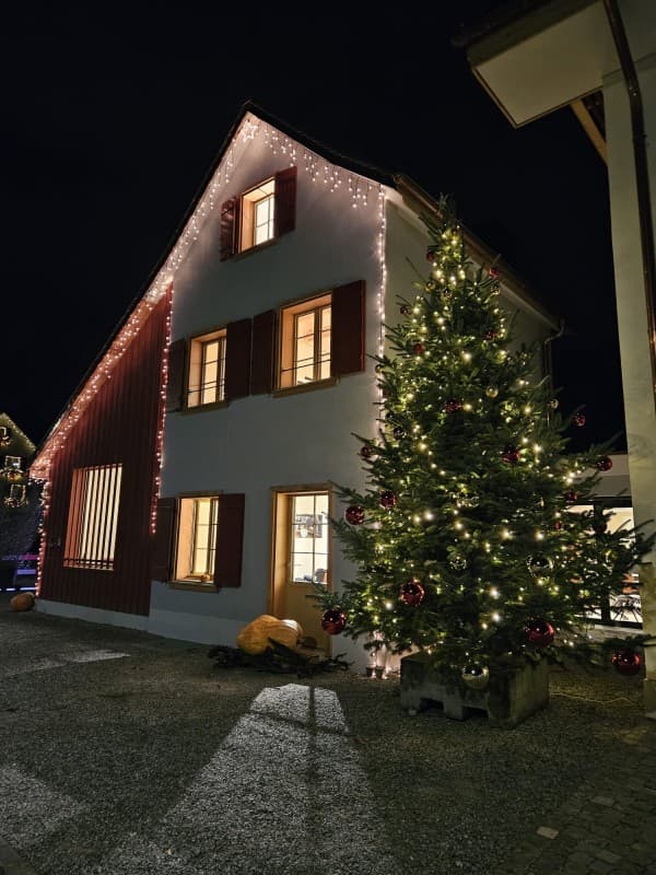 Christmas Village 2026 — photo 1