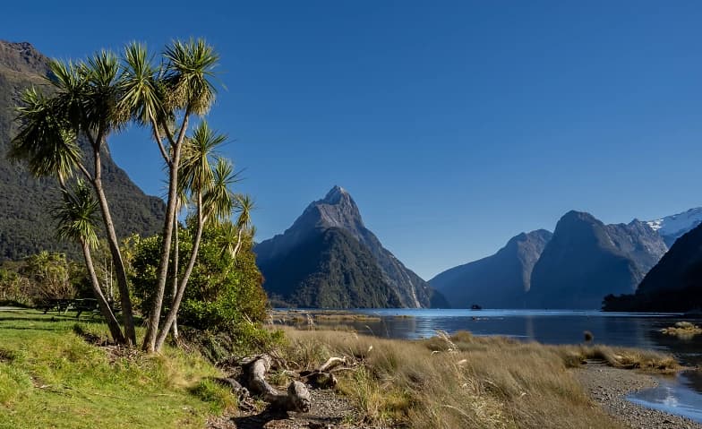 Multivision Neuseeland — photo 1