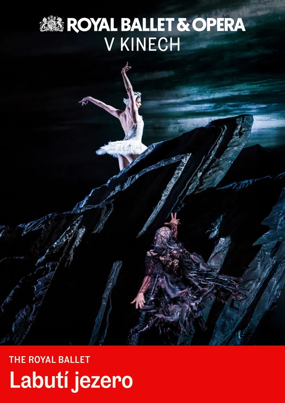 Swan Lake 2D/T — photo 1