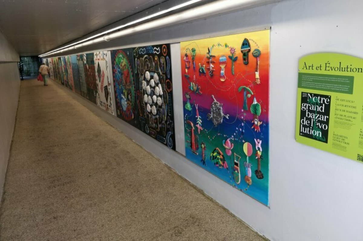 Art et évolution — photo 1