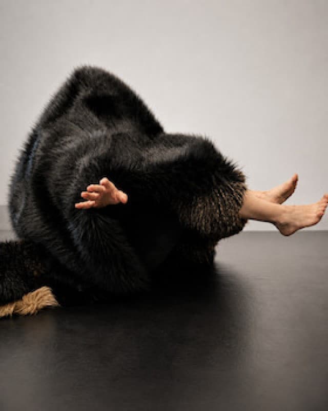 Im Fell - Relaxed Performance — photo 1
