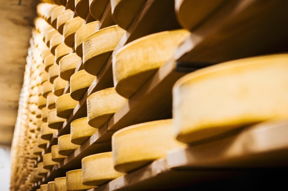Open Day – 50 Years Cheese Maturation Warehouse Saanenland AG — photo 1