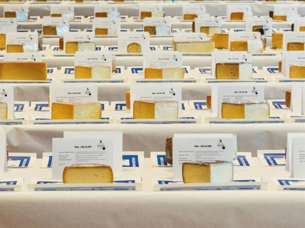 Swiss Cheese Awards with a Cheese and Specialty Market — photo 1
