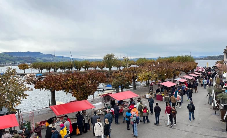 cheese-festival Rapperswil — photo 1