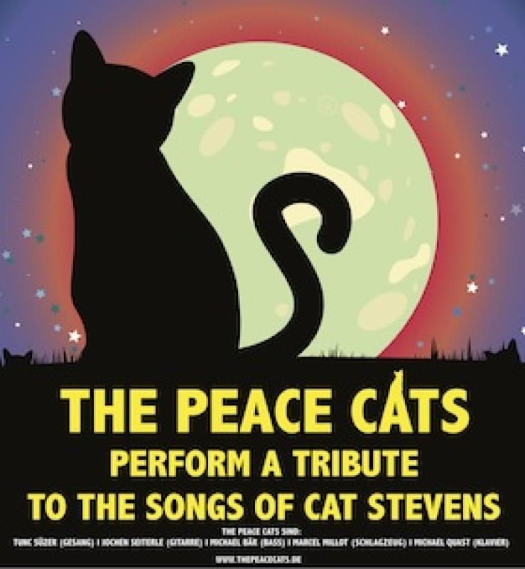 The Songs of Cat Stevens - A tribute performed by the Peace Cats — photo 1