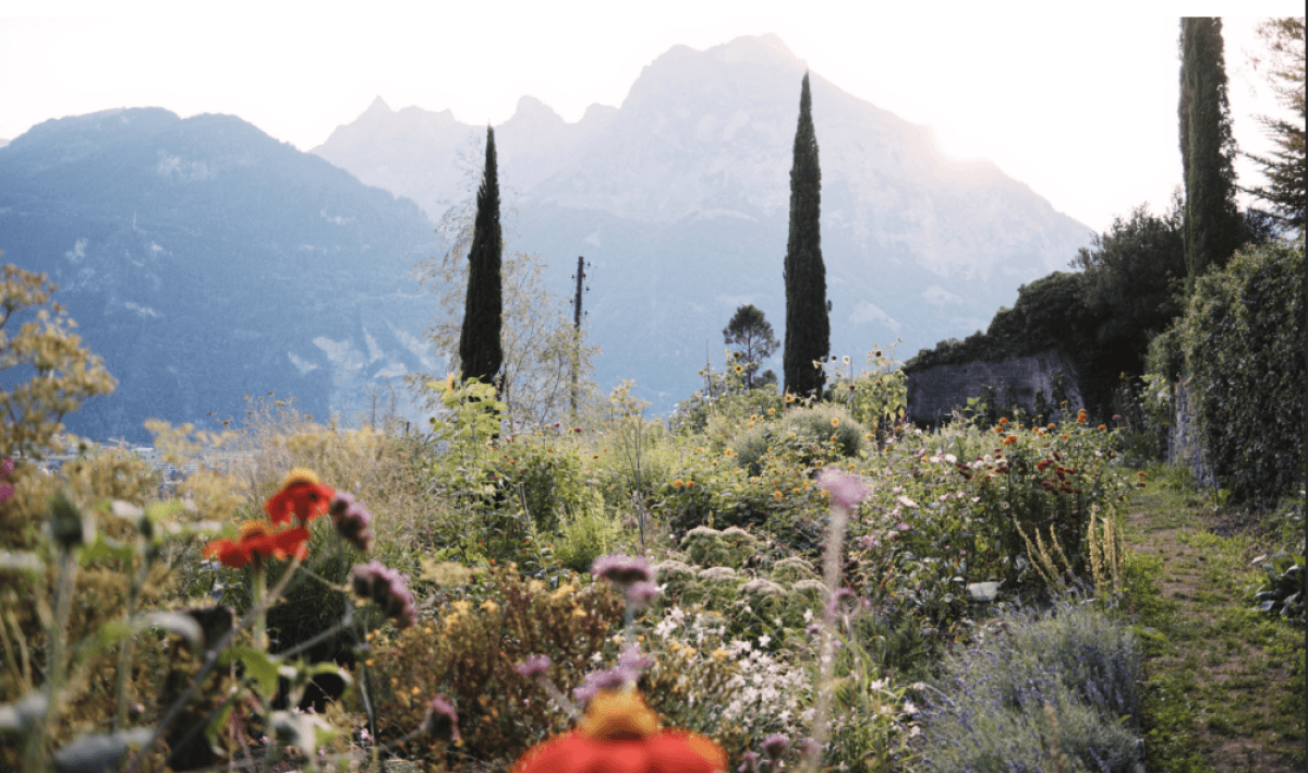 GARTENWELT: The Wild Bees of the Monastery Garden — photo 1