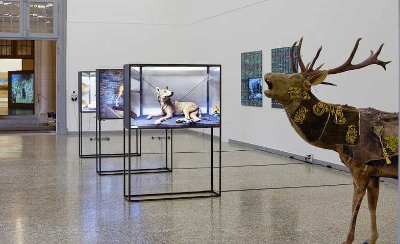 Luzia Hürzeler & Guests – What Nature Shows — photo 1