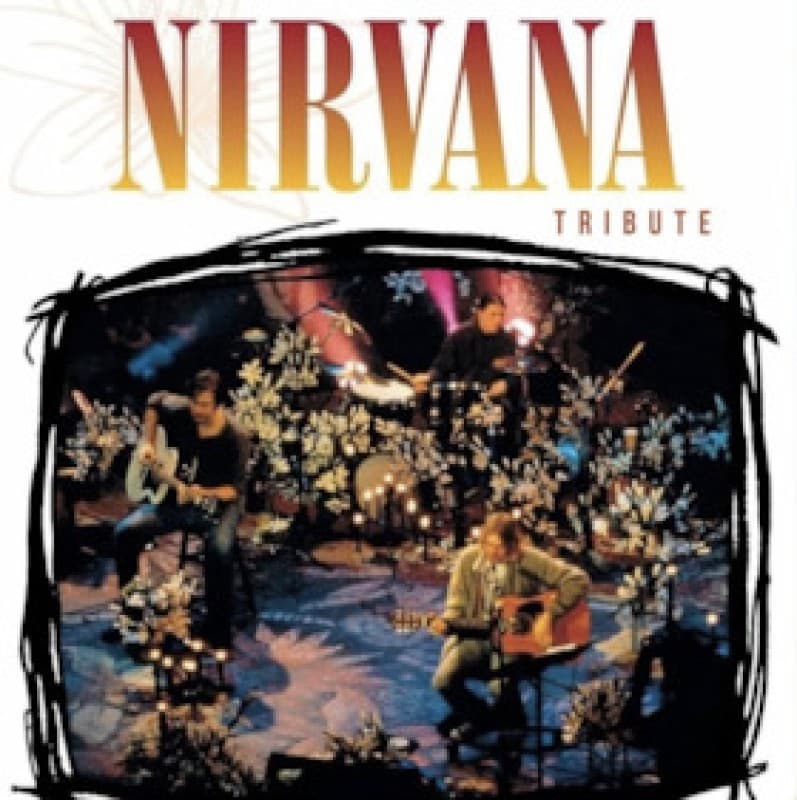 Tribute To Nirvana - MTV Unplugged Show — photo 1