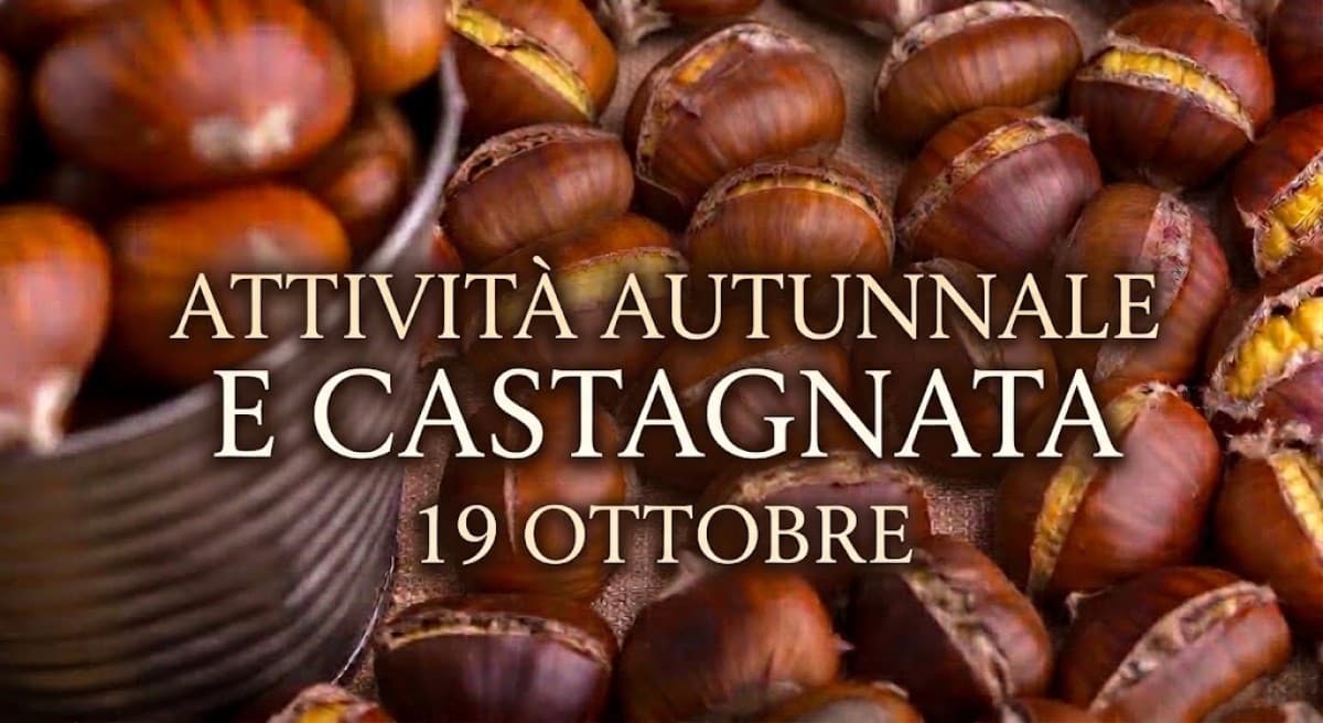 Autumn activity and chestnut festival — photo 1