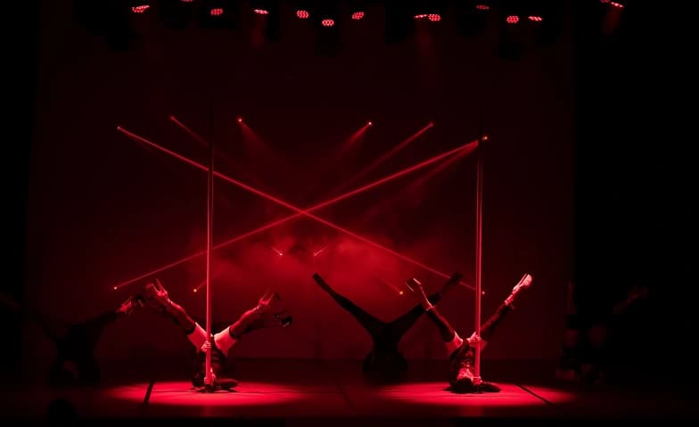 The Lion Show 2027 - Dark Edition — photo 1