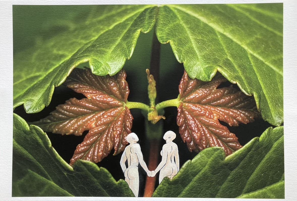 EXHIBITION WITH PHOTOS AND PAINTINGS 'IN THE HEART OF OUR TREES' — photo 1